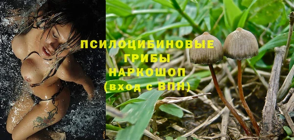 марки nbome Аркадак