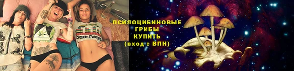 экстази Арсеньев