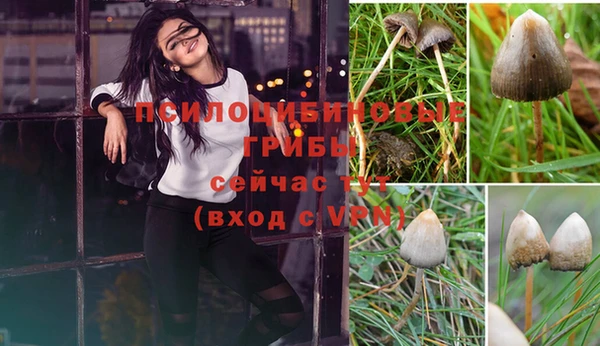 синтетический гашиш Армянск