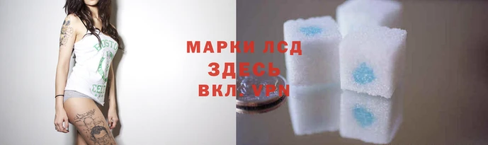 экстази Арсеньев
