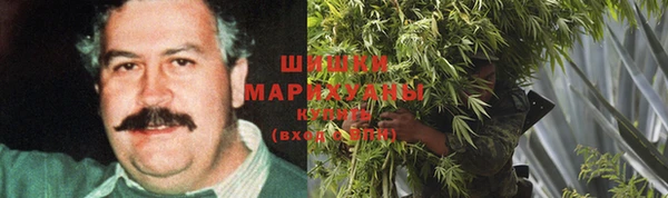 экстази Арсеньев