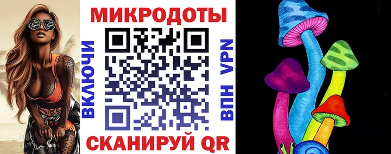 Галлюциногенные грибы Psilocybine cubensis  Солигалич 